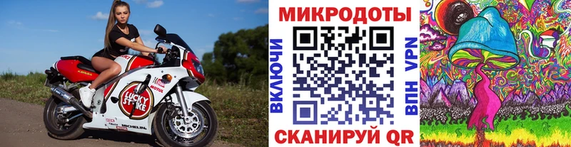 маркетплейс состав купить Вытегра Псилоцибиновые грибы Cubensis OMG